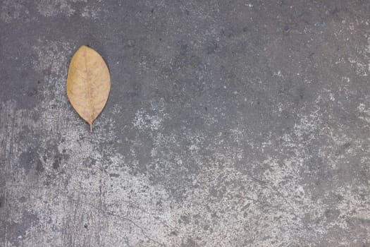 Background old mortar With yellow leaves