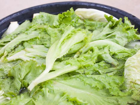 lettuce
And Chinese cabbage in a bowl of water to cook black.