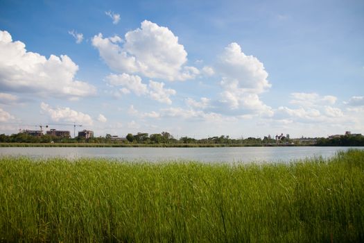 plant landscape and waterfront at khonkaen university thailand