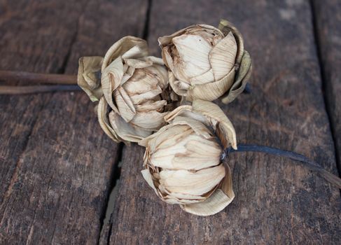 Bouquet of dry lotus flower