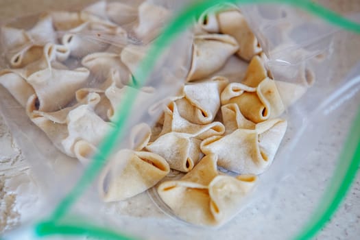 frozen dumplings or ravioli in the package