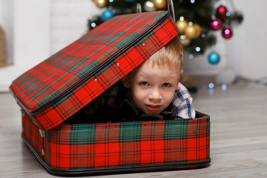 Little boy playing hiding in a red plaid suitcase in the interior with Christmas decorations