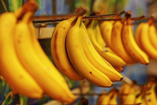 Rotten bananas sold in supermarkets in the Third World or economically underdeveloped countries