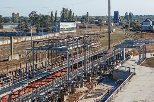 Freight wagons with sugar beets on the railroad at beet sugar plant. Unloading of sugar beet factory for the production of sugar, Transporting sugar beet sugar factory for the production of sugar