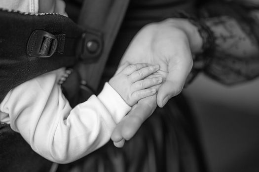 Mum holds the hand baby sleeping in an ergonomic baby carrier. Black and white photography