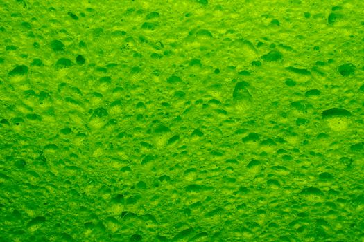 green Cellulose foam sponge