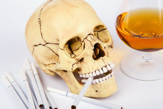 Human skull head with cigarettes and alcohol on white background. Smoking kills. Alcohol kills
