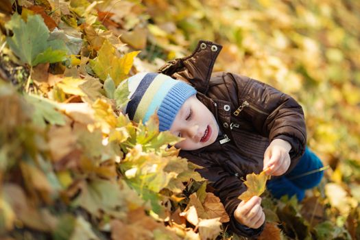 Portrait of a cheerful little boy wallow in fall foliage. Smiling funny little boy covered with autumn leaves. Little boy lying and having fun among multicolored autumn leaves in the park