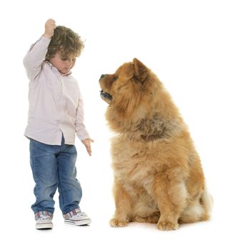 chow chow and boy in front of white background