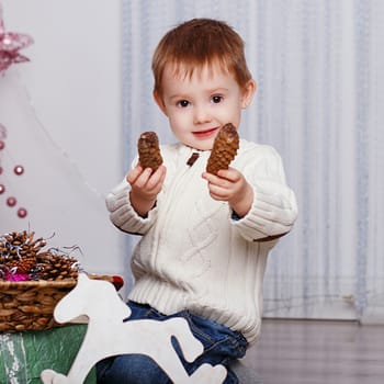 Portrait of a cute little boy with fir cones. Little boy among Christmas decorations