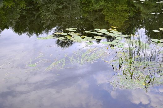 Reflection of the sky in a small forest river summer day