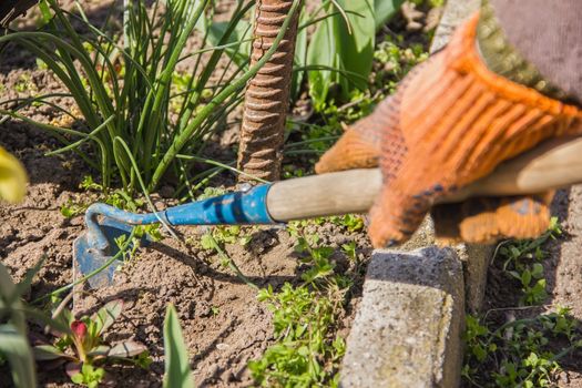 view of a woman's hand hoeing weeds in the garden on a hot summer day, weeding grass, garden and cleaning work in the garden in the spring soil preparation