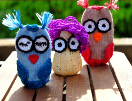 colorful owls puppet knit from yarn, owl make from conch shell, diy toy, funny creative on outdoor green background 