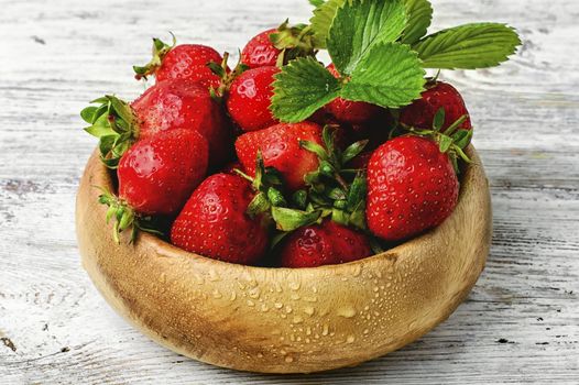 Mature crop of strawberries in a stylish wooden bowl.