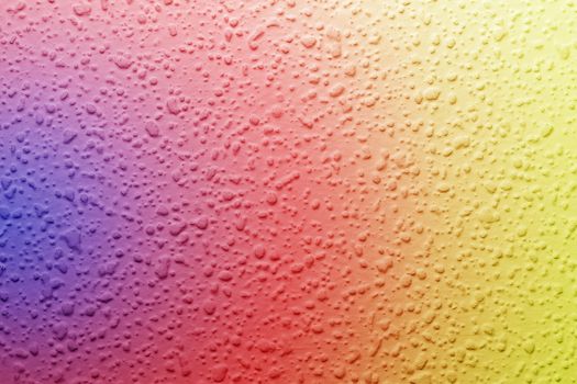 white wall texture, wallpaper on the wall, plastered wall for background and texture,color gradient, rainbow