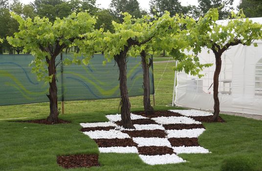 ZAGREB, CROATIA - MAY 30: Flowers exposed on Floraart, 49 international garden exhibition in Zagreb, Croatia, on May 30, 2014.