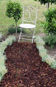 White chair in the garden