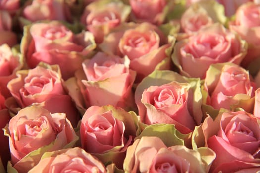 Pink roses in a floral wedding arrangement