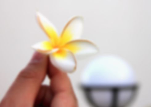 man's hand holding a tropical flower for a blurred background
