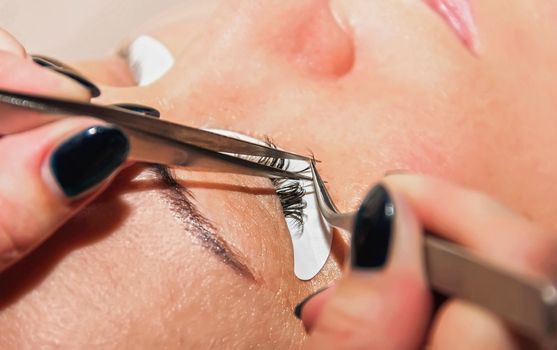 eyelash extension process, the beauty industry beauty salons lashes  very soft focus