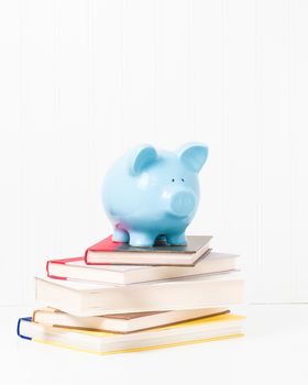 Blue porcelain piggy bank on top of a stack of textbooks.