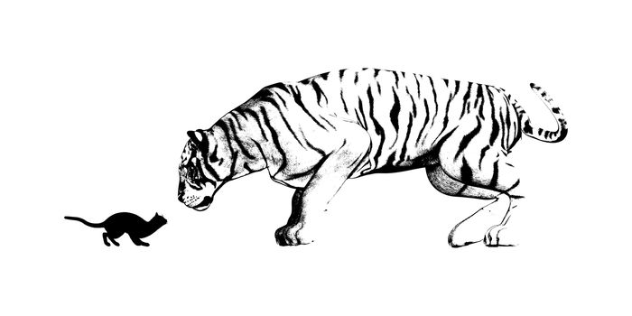 Mirror of Cat and Tiger as a Adversity Concept