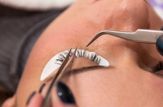 eyelash extension process, the beauty industry beauty salons lashes  very soft focus