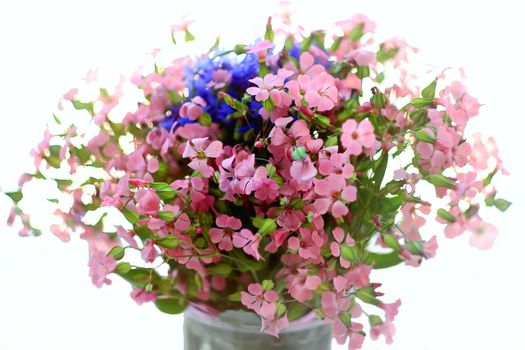 bouquet of wild flowers pink and blue on a white background, green leaves, isolated