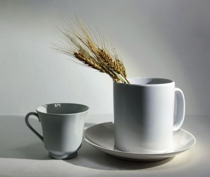 white crockery cup and ears of wheat on a white background still life