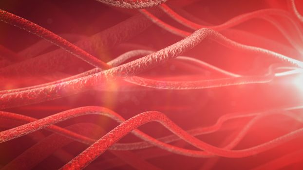 Neurons and nervous system. 3d render 