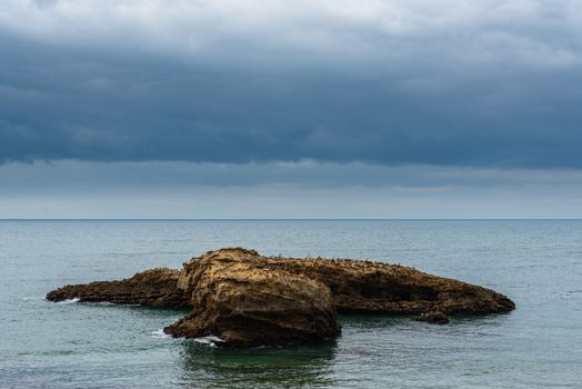 Seaguls on a rock, sea landscape stormy weather