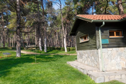 View of a big park with pine trees, meadow area and wooden house around.