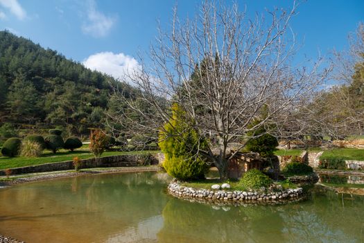 View of a small lake with a wooden house inside in a park with big trees, on cloudy sky background.