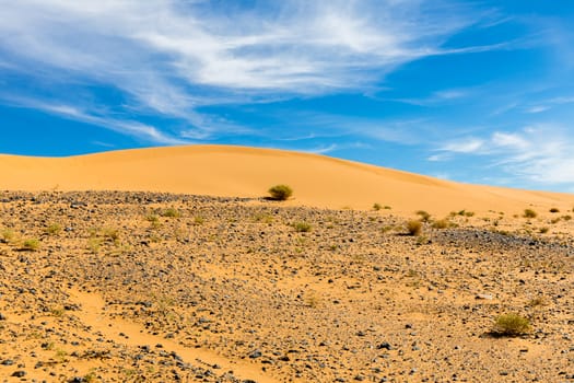 sand dune in the blue sky, Morocco