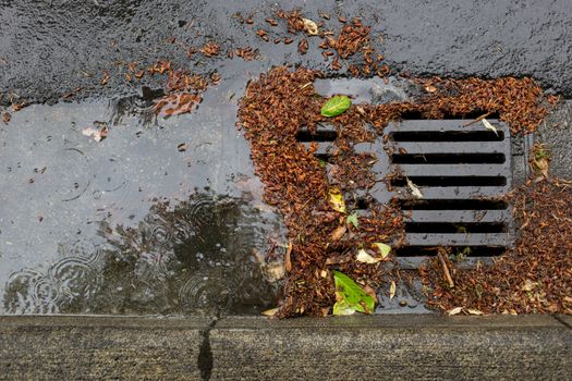 Clogged Storm Drain during a storm