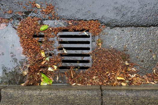 Clogged Storm Drain during a storm