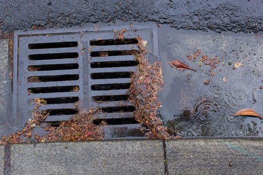 Clogged Storm Drain during a storm