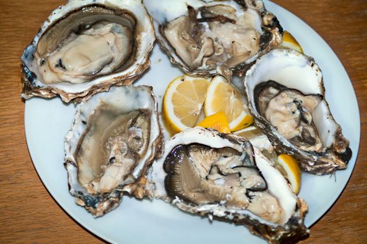 Fresh oysters in a white plate with ice and lemon on a wooden desk .