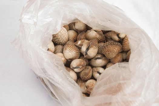 scallop in plastic bag