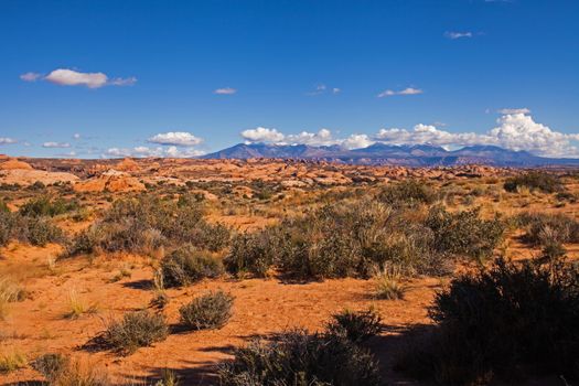 Petrified dunes in Arches National Park Utah, The Manti La Sal Mountains can be seen in the background,