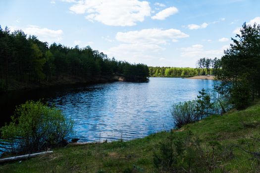 Forest lake in the spring 2016