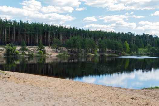 Forest lake in the spring 2016