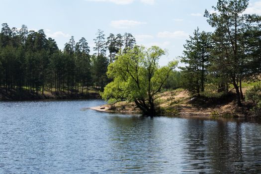 Lake in the forest and wood in Kurowski 2016