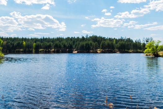 Forest lake in the spring 2016