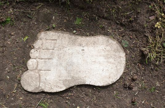 A wooden foot in earth and grass