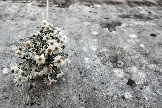 Amazing bouquet of flower on old wall background, simple daisy flower on ancient wall make sad, lonely feeling