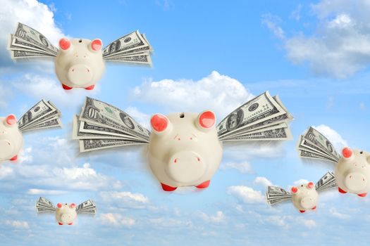 Piggy banks flying free with dollar wings  in sky