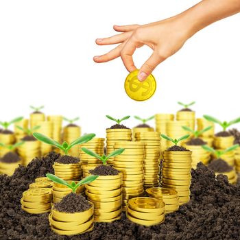 Ttrees growing on stack of coins with hand isolated on white background