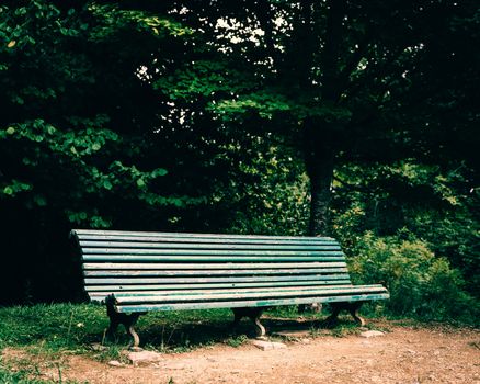 Old green bench in a park