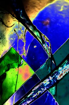 Light Graphics: Microphoto of translucent structures in polarized light